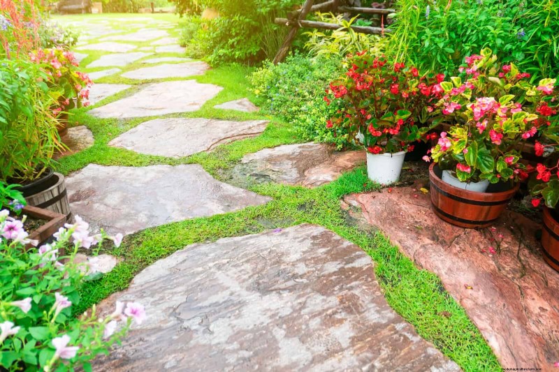 Common Yard Problems & Easy Solutions: A Gardener s Guide