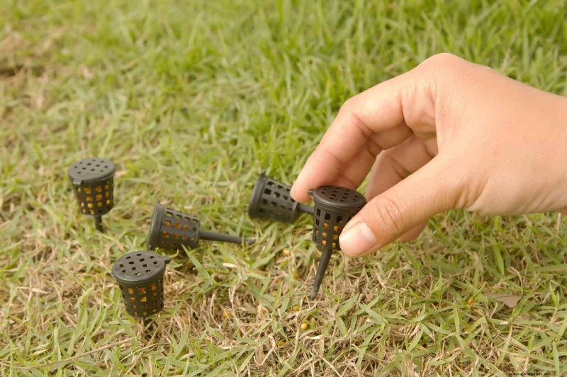 Common Yard Problems & Easy Solutions: A Gardener s Guide