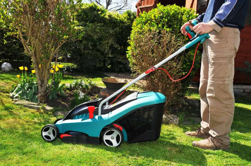 Common Yard Problems & Easy Solutions: A Gardener s Guide