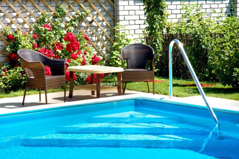 Common Yard Problems & Easy Solutions: A Gardener s Guide