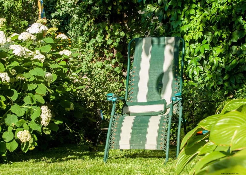 Common Yard Problems & Easy Solutions: A Gardener s Guide