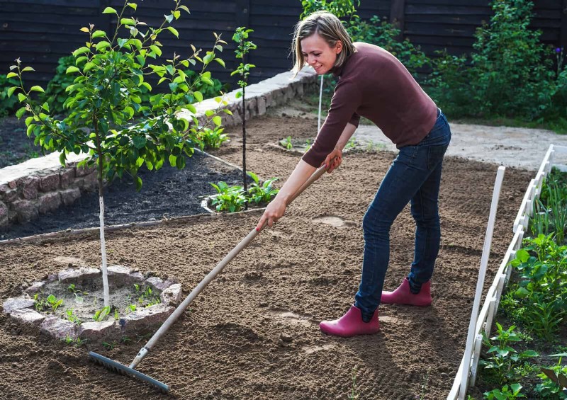Common Yard Problems & Easy Solutions: A Gardener s Guide