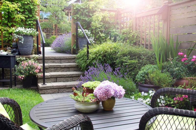 Best Container Plants for Sunny Patios: Heat-Tolerant & Low-Maintenance