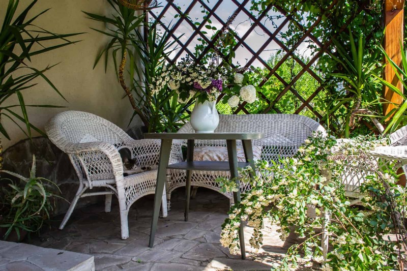 Best Container Plants for Sunny Patios: Heat-Tolerant & Low-Maintenance