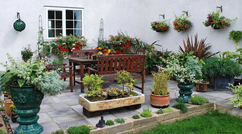 Best Container Plants for Sunny Patios: Heat-Tolerant & Low-Maintenance