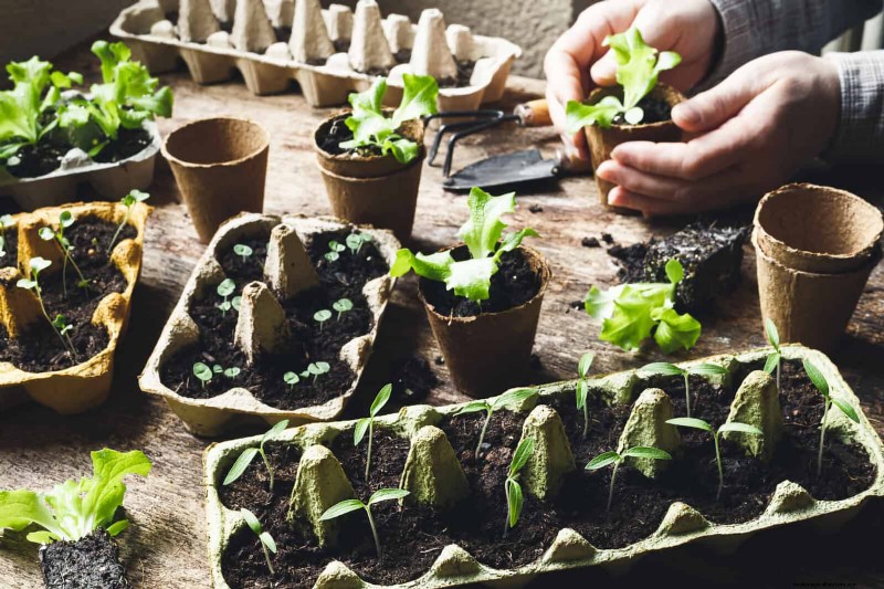 Smart Gardening Hacks: Save Time, Water & Money - Expert Tips