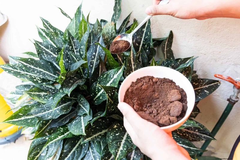 Smart Gardening Hacks: Save Time, Water & Money - Expert Tips
