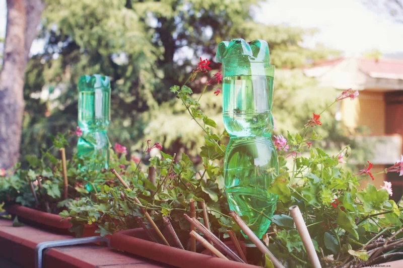 Smart Gardening Hacks: Save Time, Water & Money - Expert Tips