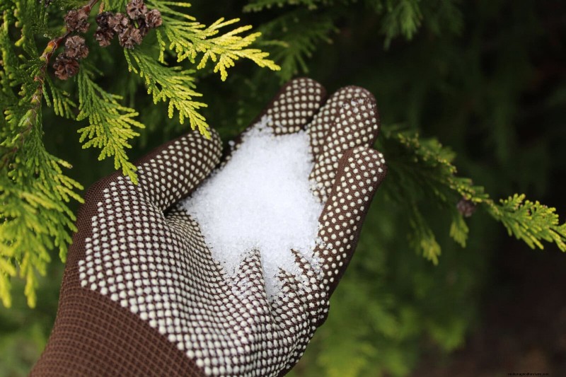 Smart Gardening Hacks: Save Time, Water & Money - Expert Tips