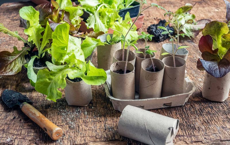 Smart Gardening Hacks: Save Time, Water & Money - Expert Tips