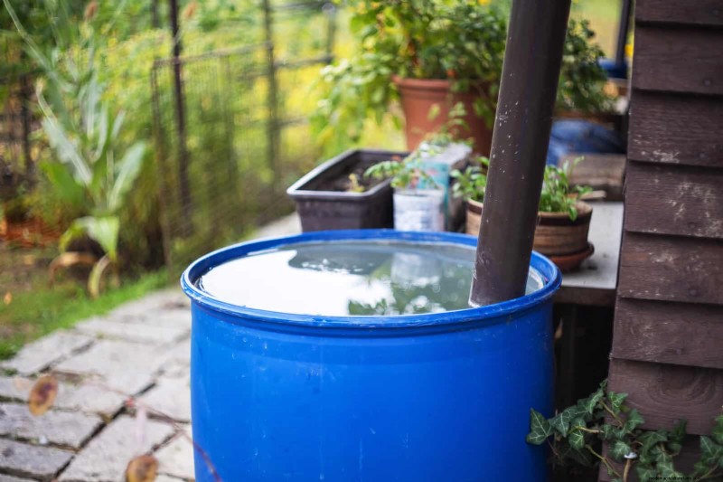 Smart Gardening Hacks: Save Time, Water & Money - Expert Tips