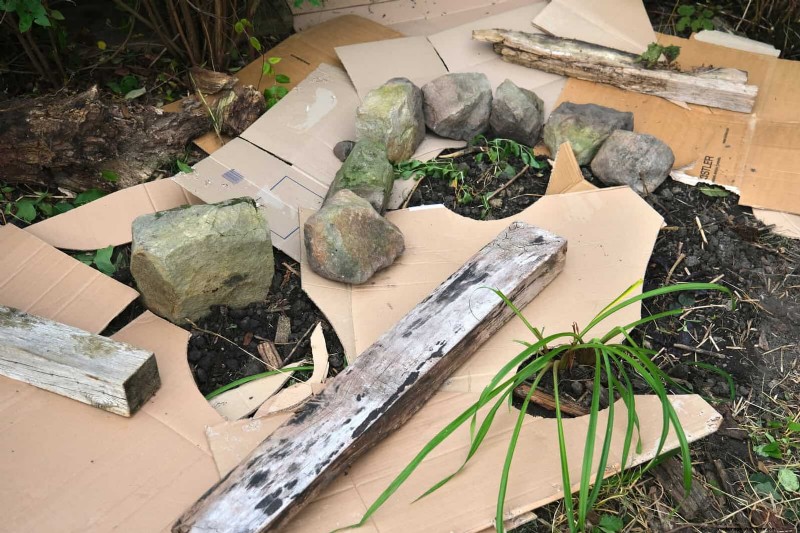 Smart Gardening Hacks: Save Time, Water & Money - Expert Tips