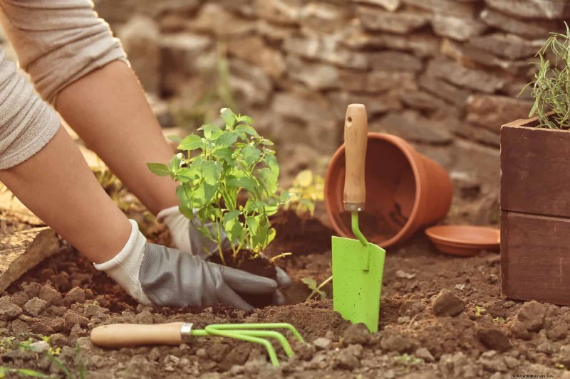 Smart Gardening Hacks: Save Time, Water & Money - Expert Tips