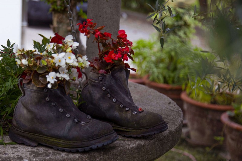 Smart Gardening Hacks: Save Time, Water & Money - Expert Tips
