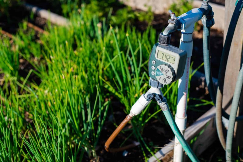 Smart Gardening Hacks: Save Time, Water & Money - Expert Tips