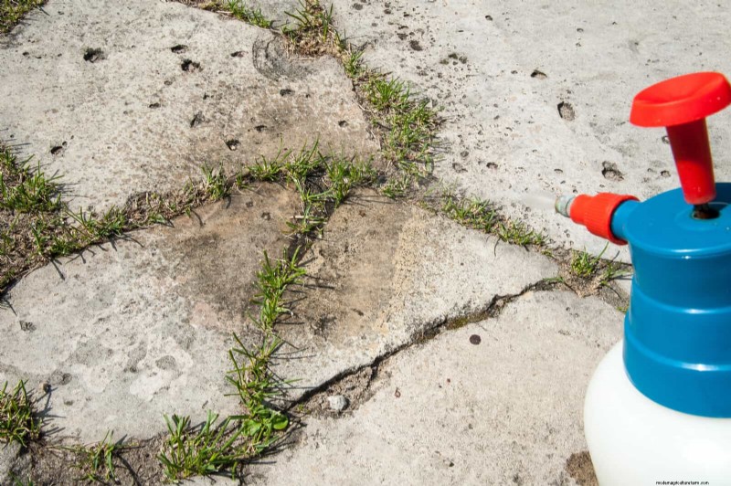 Smart Gardening Hacks: Save Time, Water & Money - Expert Tips