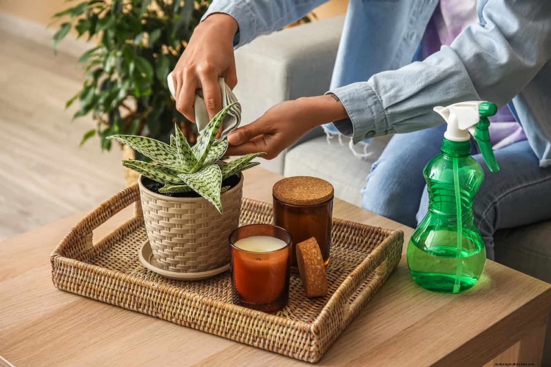 25 Clever Houseplant Hacks for Thriving Plants | Depositphotos