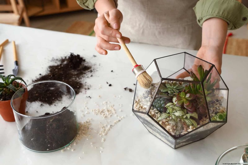 25 Clever Houseplant Hacks for Thriving Plants | Depositphotos