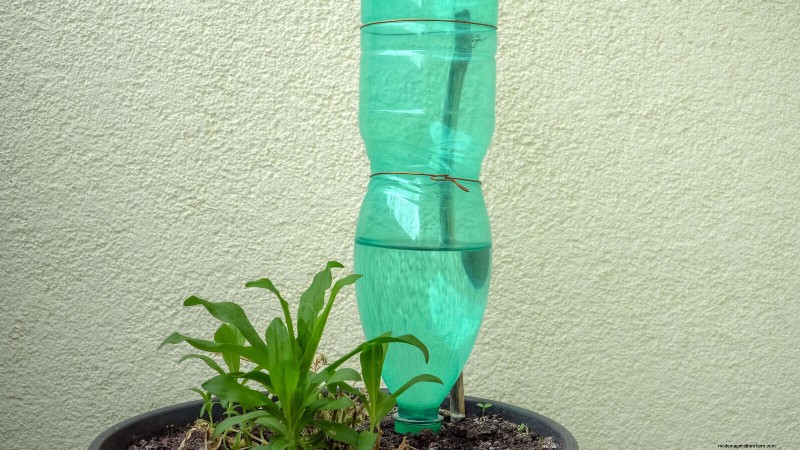 25 Clever Houseplant Hacks for Thriving Plants | Depositphotos