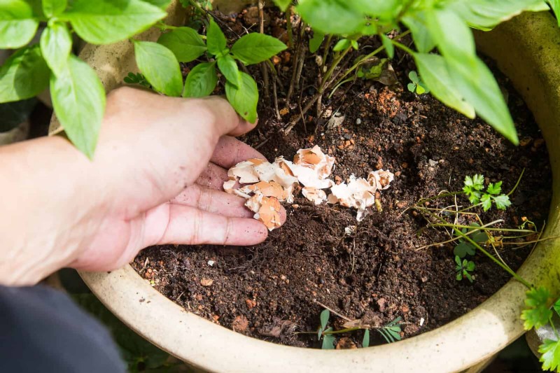 25 Clever Houseplant Hacks for Thriving Plants | Depositphotos