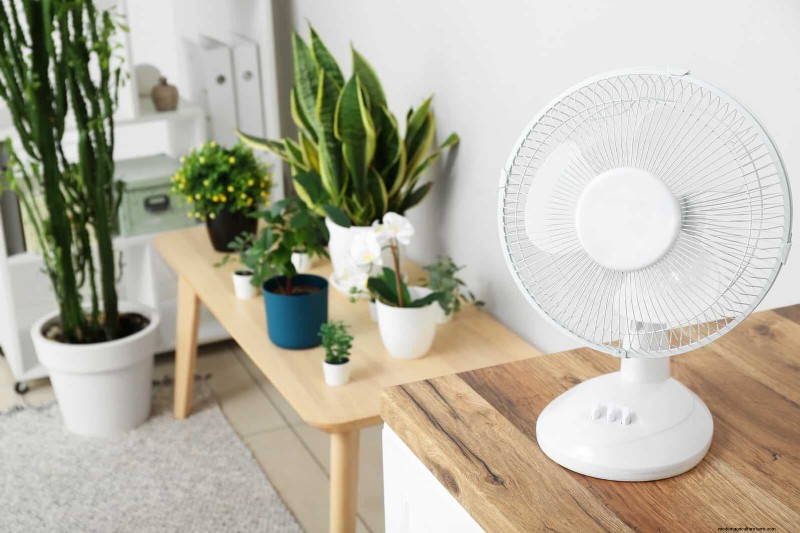 25 Clever Houseplant Hacks for Thriving Plants | Depositphotos