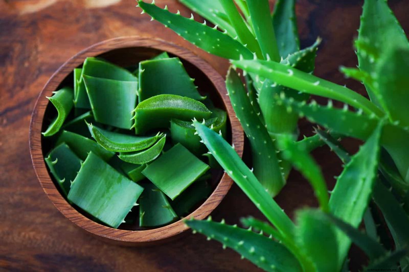 25 Clever Houseplant Hacks for Thriving Plants | Depositphotos
