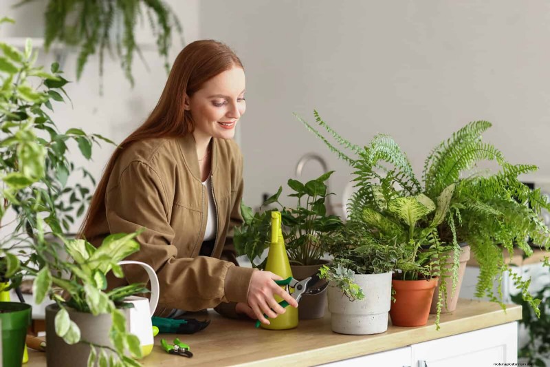 25 Clever Houseplant Hacks for Thriving Plants | Depositphotos