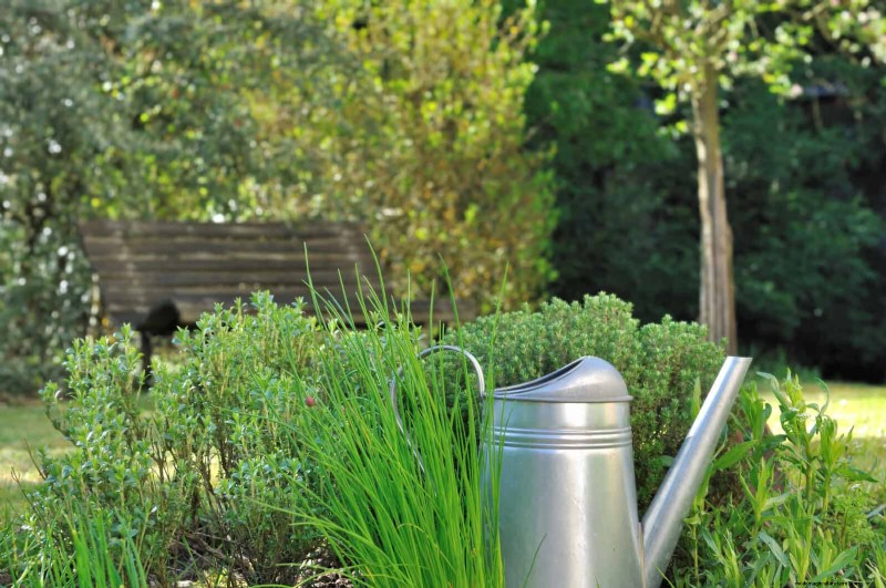 Harmful Plant Combinations: Avoid These 21 Garden Pairings