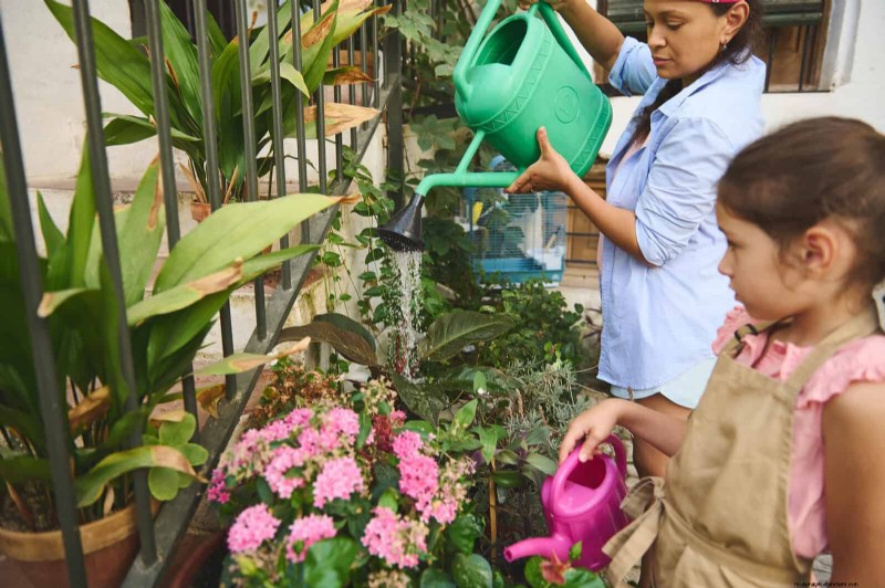 Why Plants Fail in Shared Containers: 22 Common Reasons & Solutions