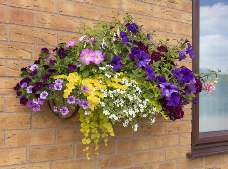 Why Plants Fail in Shared Containers: 22 Common Reasons & Solutions