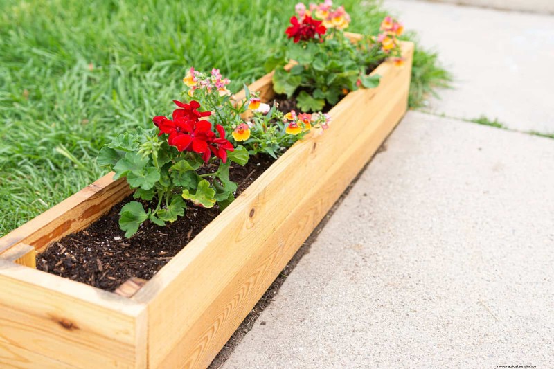 Why Plants Fail in Shared Containers: 22 Common Reasons & Solutions