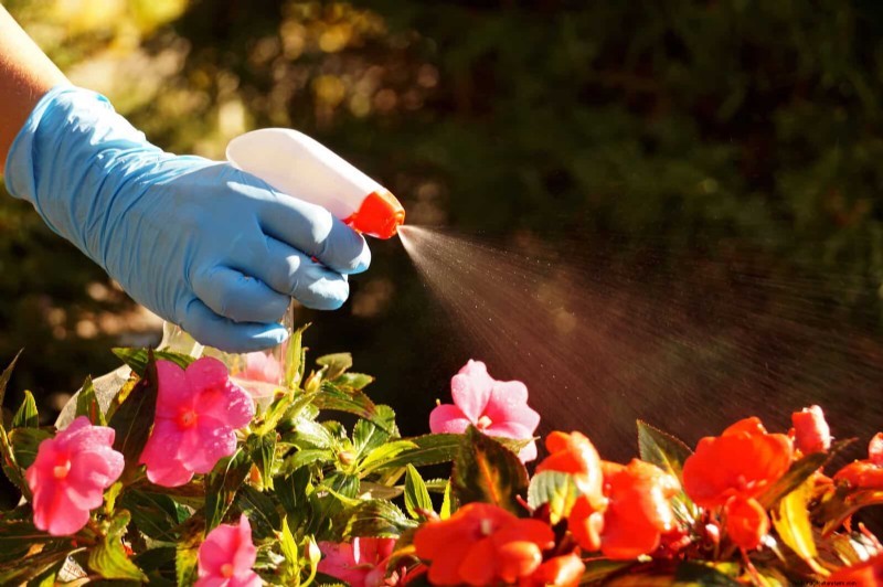 Why Plants Fail in Shared Containers: 22 Common Reasons & Solutions