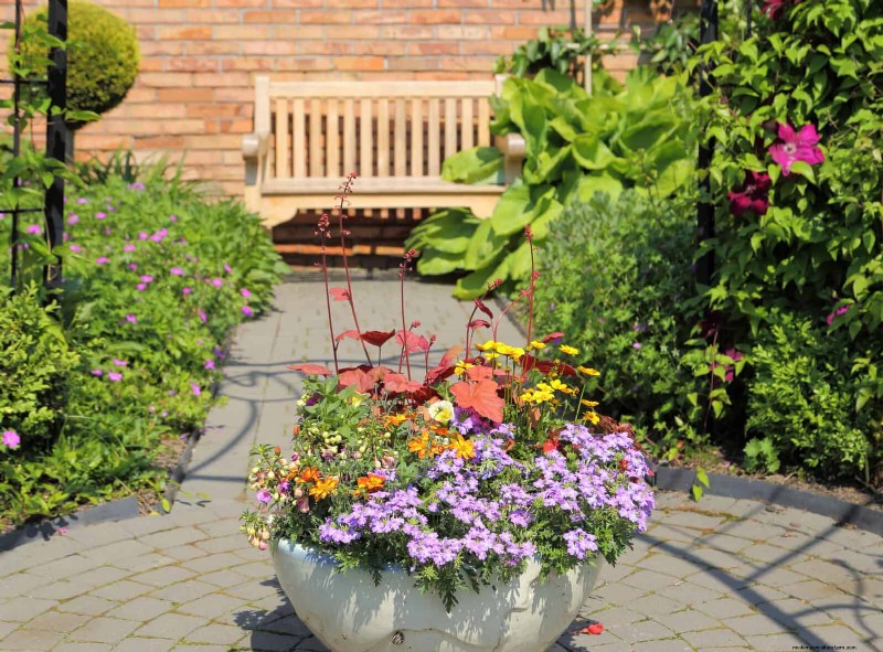 Why Plants Fail in Shared Containers: 22 Common Reasons & Solutions