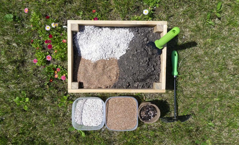 Why Plants Fail in Shared Containers: 22 Common Reasons & Solutions