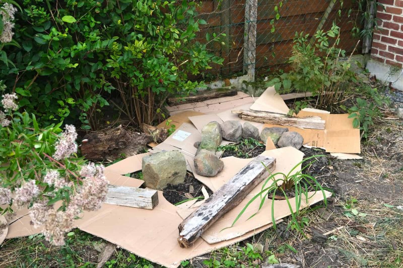 Protect Your Hostas: Quick Slug Control Methods