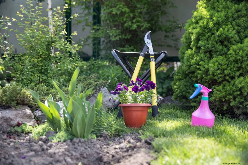 Tulip Bulb Care: How to Rebloom Your Spring Flowers