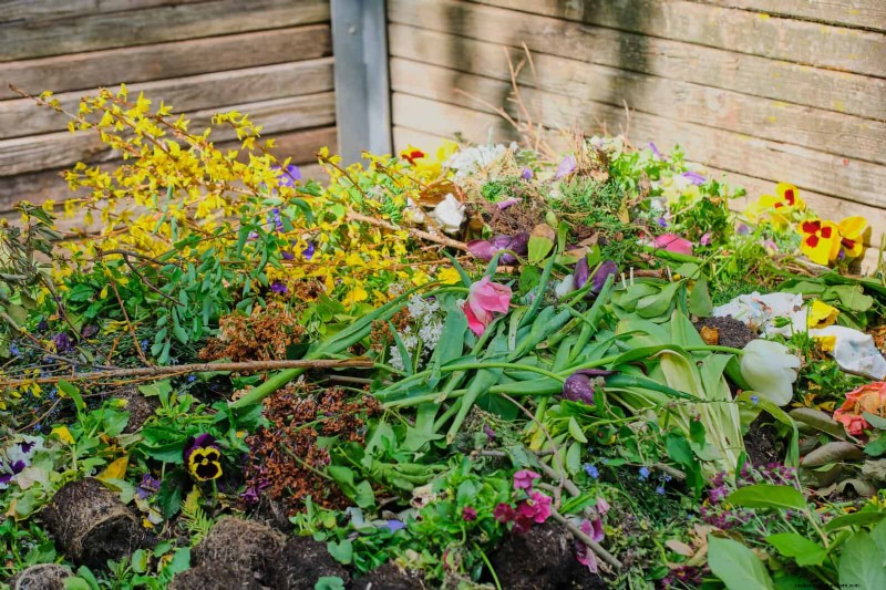 Tulip Bulb Care: How to Rebloom Your Spring Flowers