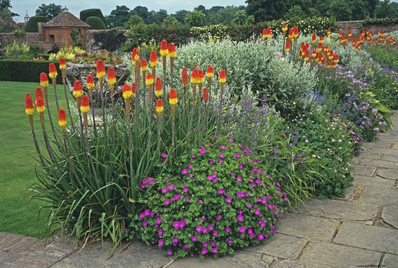 Heat-Tolerant Plants: 25 Proven Choices for Sunny Gardens