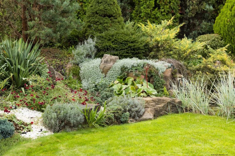 Best Ground Covers to Suppress Weeds & Beautify Your Garden