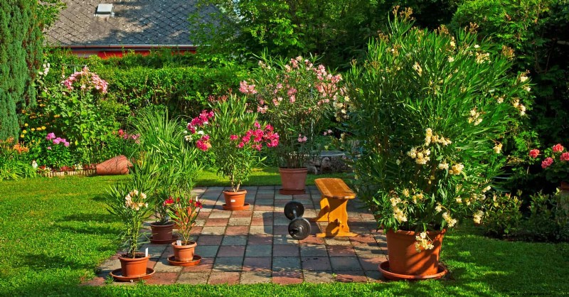 Bottom Watering Mistakes: Avoid 25 Common Pitfalls & Ensure Plant Health