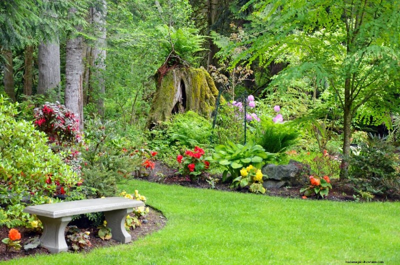 Garden Layout Mistakes: 25 Traps to Avoid for a Thriving Landscape