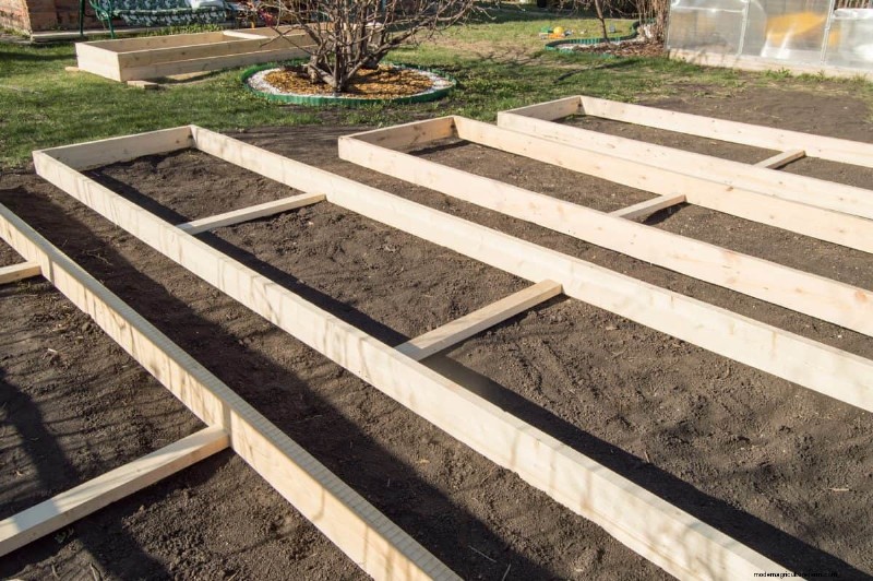 Garden Layout Mistakes: 25 Traps to Avoid for a Thriving Landscape
