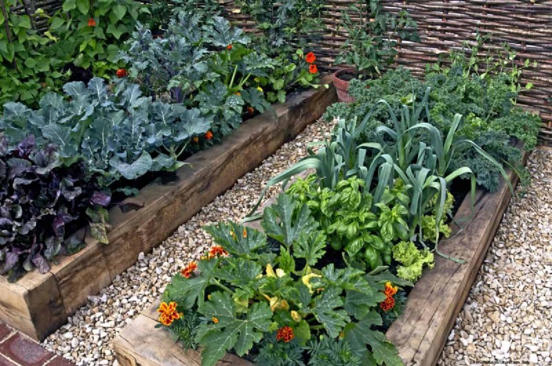 Garden Layout Mistakes: 25 Traps to Avoid for a Thriving Landscape