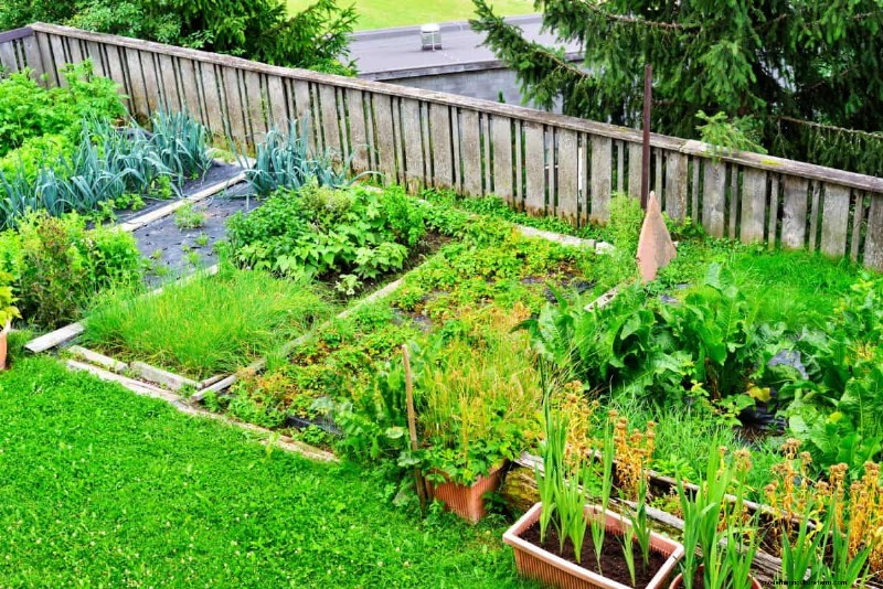 Garden Layout Mistakes: 25 Traps to Avoid for a Thriving Landscape