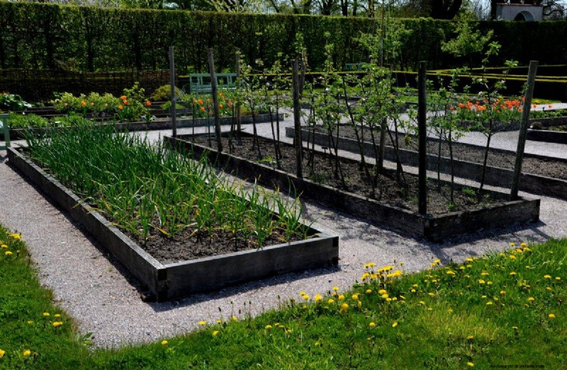 Garden Layout Mistakes: 25 Traps to Avoid for a Thriving Landscape