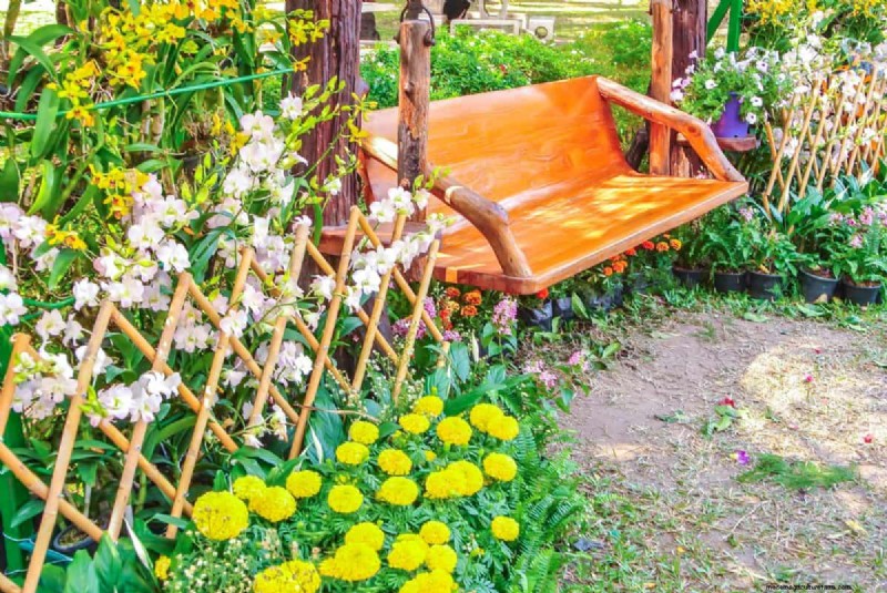 Garden Layout Mistakes: 25 Traps to Avoid for a Thriving Landscape