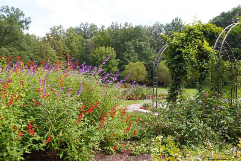 Garden Layout Mistakes: 25 Traps to Avoid for a Thriving Landscape