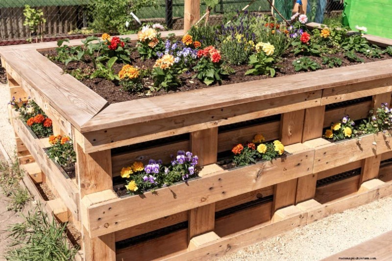 Garden Layout Mistakes: 25 Traps to Avoid for a Thriving Landscape