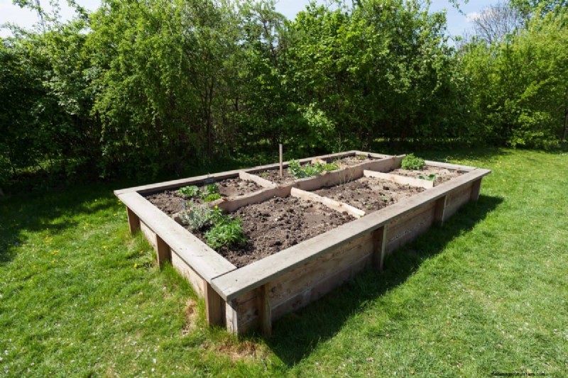 Garden Layout Mistakes: 25 Traps to Avoid for a Thriving Landscape