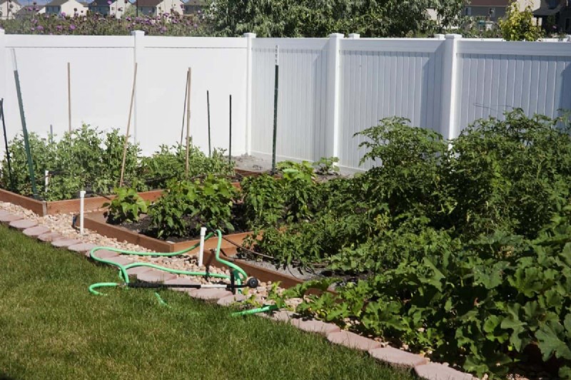 Garden Layout Mistakes: 25 Traps to Avoid for a Thriving Landscape